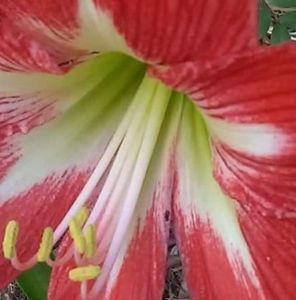 Meet your Posher, Patty